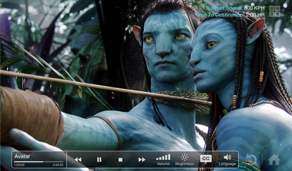 Beyond IFE your trip